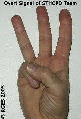 Click here to enter MetaReality